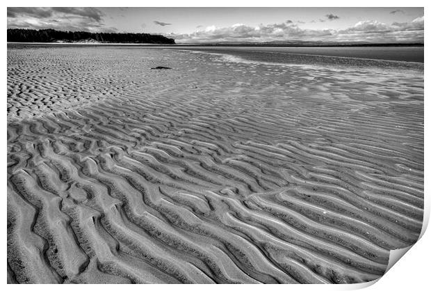 Findhorn Beach Print by Steve Smith