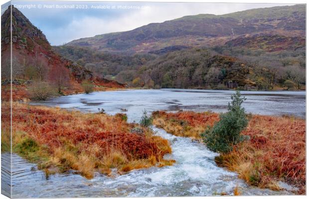 Llyn Dinas Lake Snowdonia in Autumn Canvas Print by Pearl Bucknall