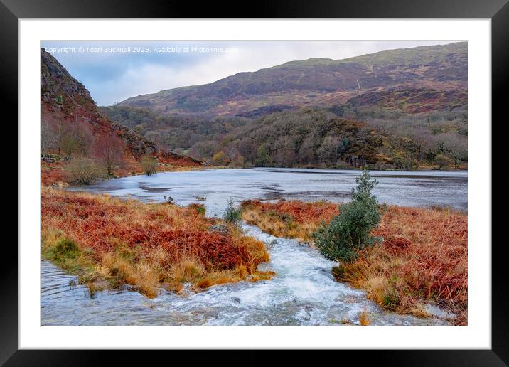 Llyn Dinas Lake Snowdonia in Autumn Framed Mounted Print by Pearl Bucknall