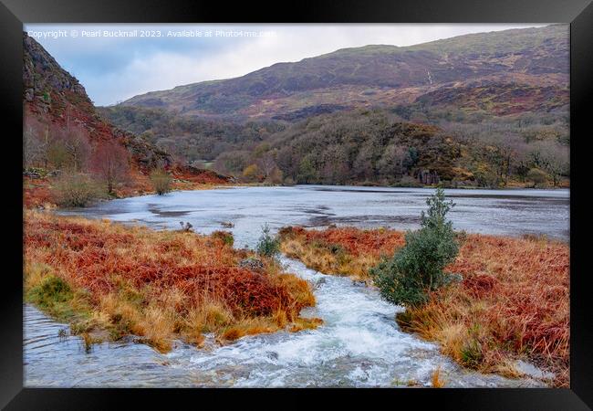 Llyn Dinas Lake Snowdonia in Autumn Framed Print by Pearl Bucknall