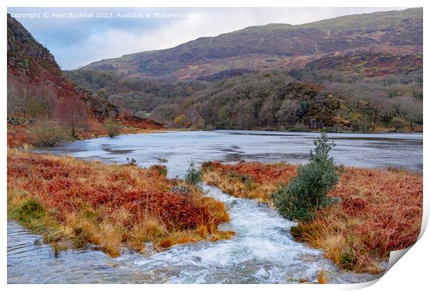 Llyn Dinas Lake Snowdonia in Autumn Print by Pearl Bucknall