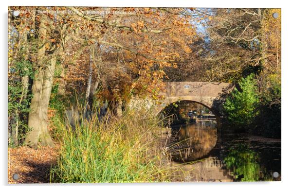 Basingstoke Canal in Autumn Acrylic by Pearl Bucknall