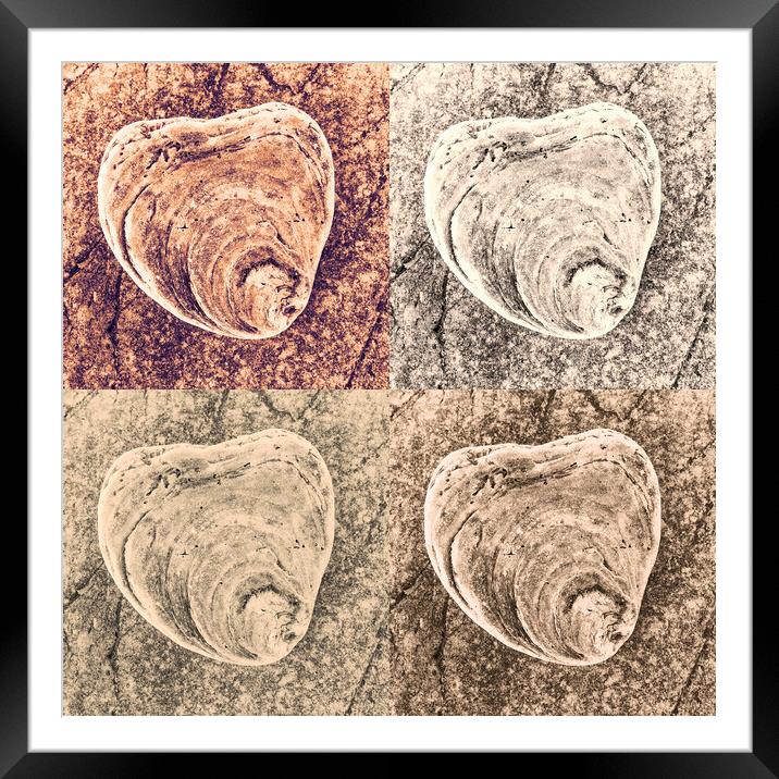 Seashell on Rock x 4 Framed Mounted Print by Kevin Howchin