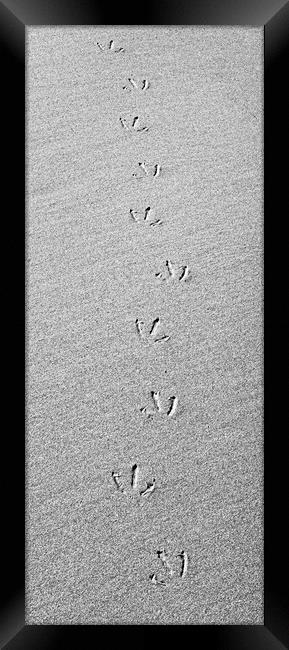 Footprints in the Sand Framed Print by Kevin Howchin