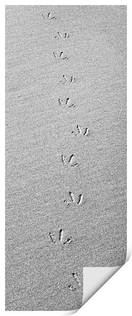 Footprints in the Sand Print by Kevin Howchin