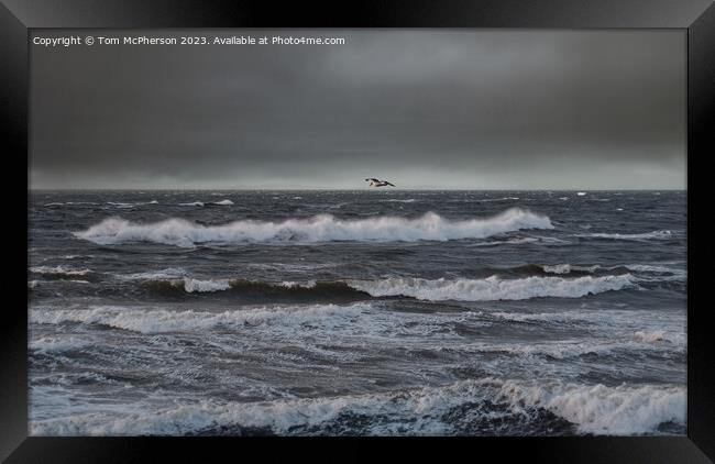 Moray Firth Seascape Framed Print by Tom McPherson