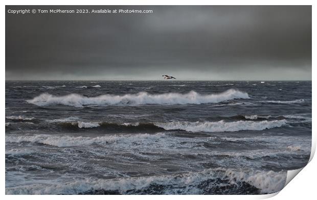 Moray Firth Seascape Print by Tom McPherson