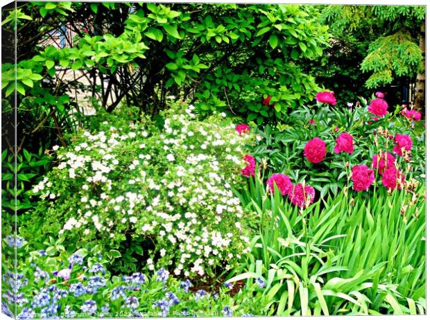 Beautiful garden Canvas Print by Stephanie Moore