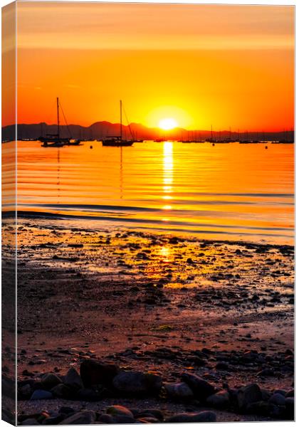 August Sunrise Abersoch Bay Canvas Print by Tim Hill