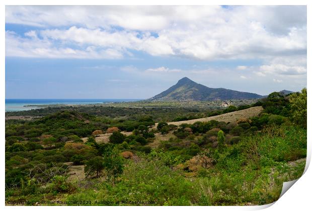 La Tourelle du Tamarin Mountain in Mauritius Print by Dietmar Rauscher