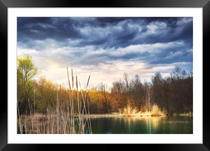 The Spring is slowly coming to the small lake. Framed Mounted Print by Dejan Travica