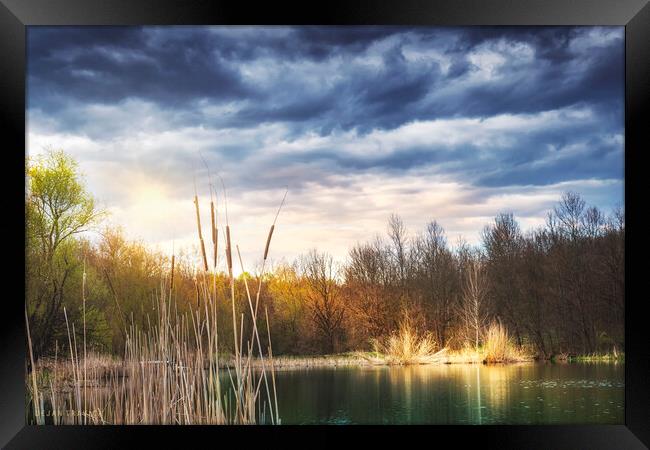 The Spring is slowly coming to the small lake. Framed Print by Dejan Travica