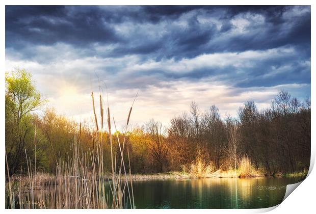 The Spring is slowly coming to the small lake. Print by Dejan Travica