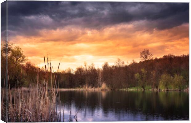 At the end of the small forest lake Canvas Print by Dejan Travica