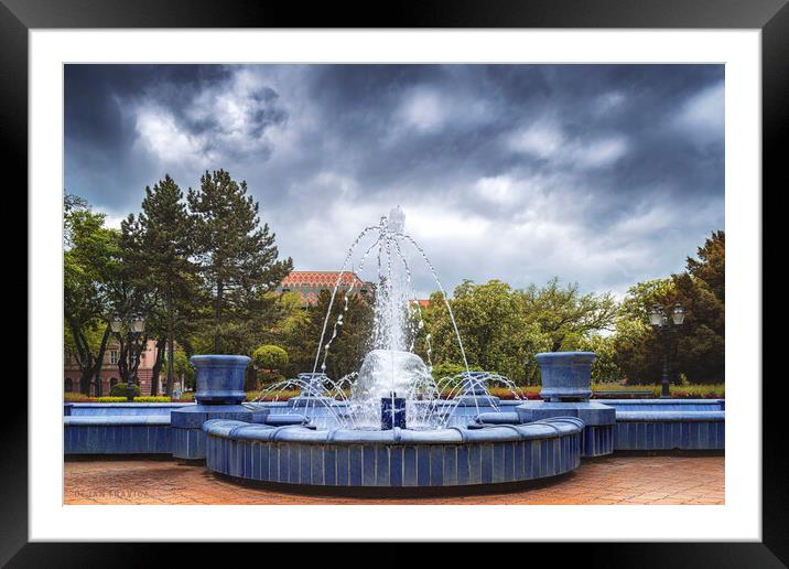 Blue Fountain  Framed Mounted Print by Dejan Travica