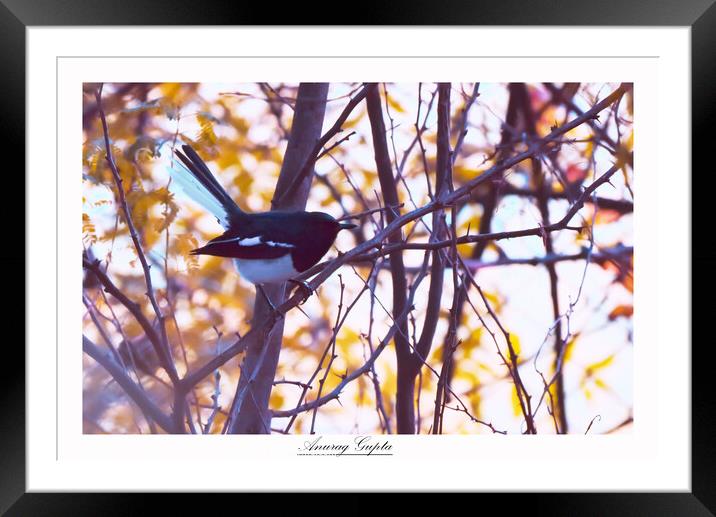 Abstract nonphoto Framed Mounted Print by anurag gupta