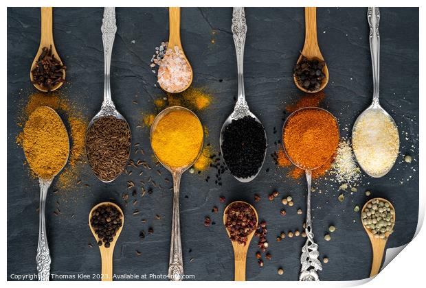 Selection of spices on wooden and metal spoons Print by Thomas Klee