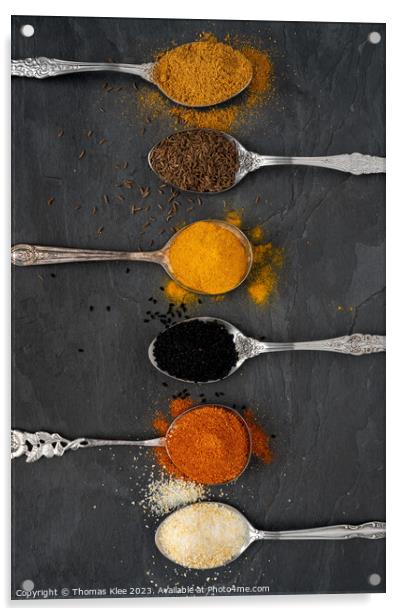 Selection of spices on metal spoons Acrylic by Thomas Klee