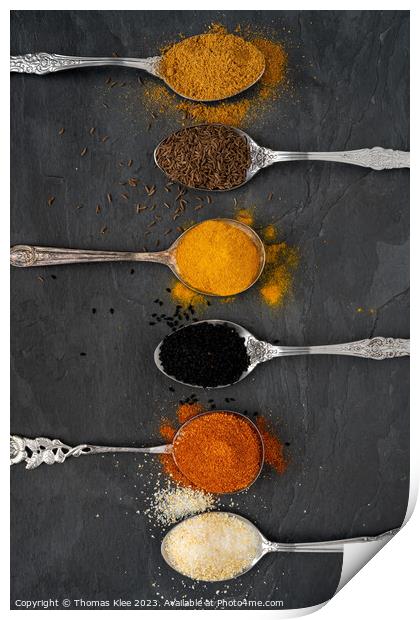 Selection of spices on metal spoons Print by Thomas Klee
