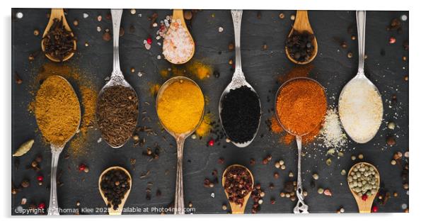 Exotic spices as a panorama Acrylic by Thomas Klee