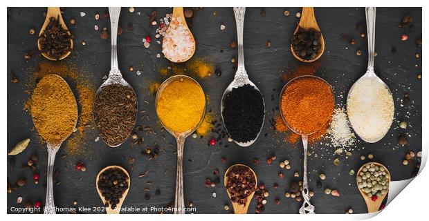 Exotic spices as a panorama Print by Thomas Klee