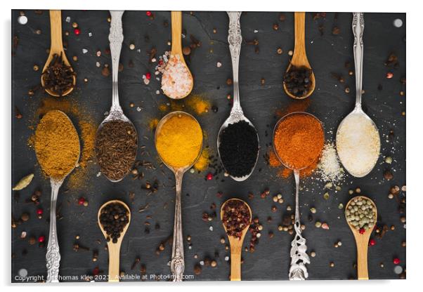 Exotic spices on wooden and metal spoons Acrylic by Thomas Klee