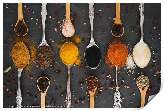 Exotic spices on wooden and metal spoons Print by Thomas Klee