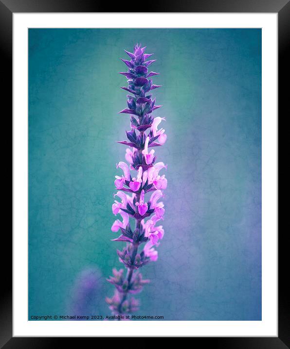 Sage Amethyst Framed Mounted Print by Michael Kemp