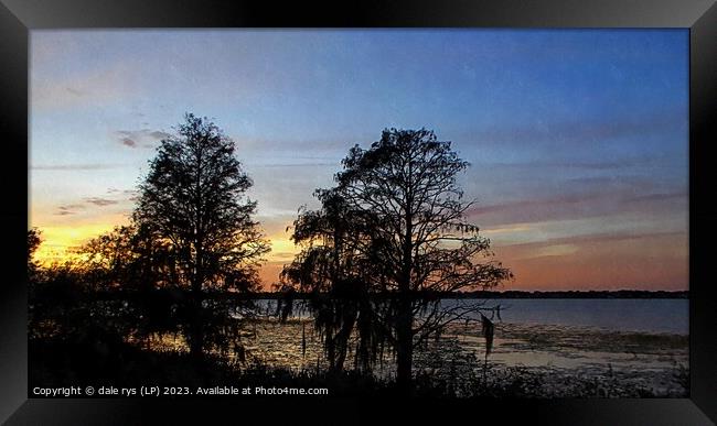 CYPRESS TREES florida sunset Framed Print by dale rys (LP)