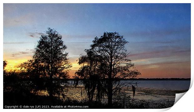 CYPRESS TREES florida sunset Print by dale rys (LP)