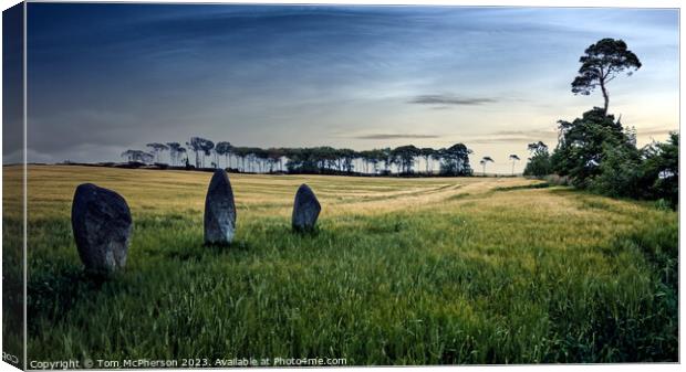 Outdoor Standing Stones Canvas Print by Tom McPherson