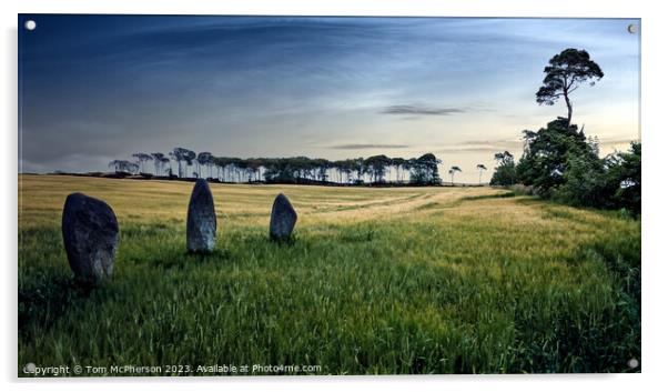 Outdoor Standing Stones Acrylic by Tom McPherson