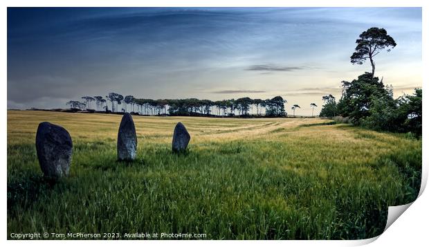 Outdoor Standing Stones Print by Tom McPherson