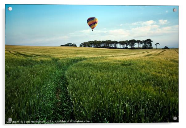 Balloon Flypast Acrylic by Tom McPherson