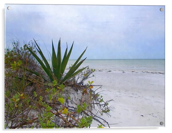 FLORIDA BEACH Acrylic by dale rys (LP)