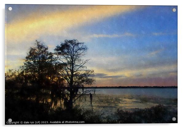 florida sunset  Acrylic by dale rys (LP)