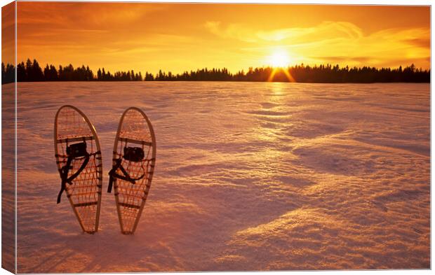 snowshoes Canvas Print by Dave Reede