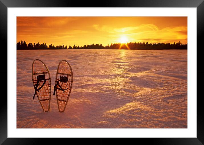 snowshoes Framed Mounted Print by Dave Reede