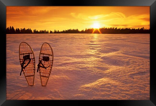 snowshoes Framed Print by Dave Reede