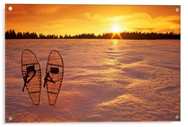 snowshoes Acrylic by Dave Reede
