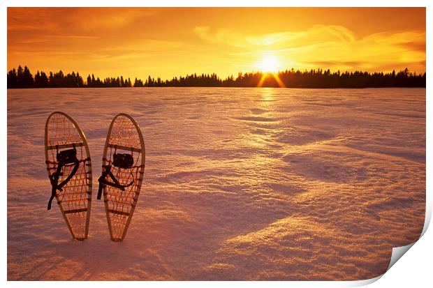 snowshoes Print by Dave Reede