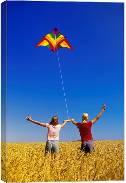 kite flying Canvas Print by Dave Reede
