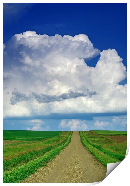 country road with cumulonimbus cloud mass in the background Print by Dave Reede