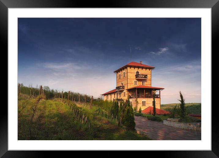 Koporin monastery winery Framed Mounted Print by Dejan Travica