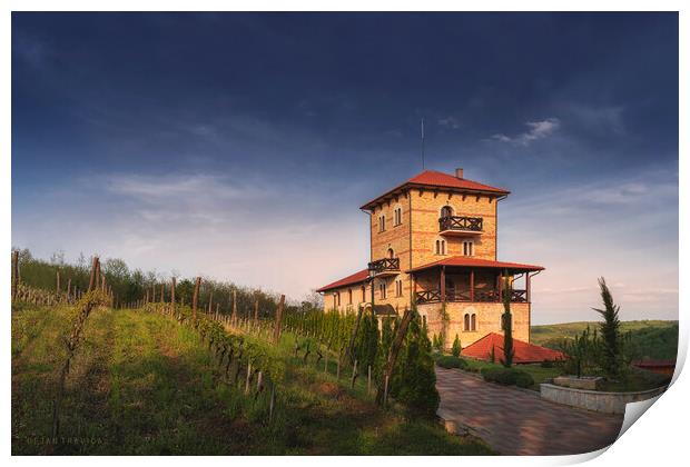 Koporin monastery winery Print by Dejan Travica