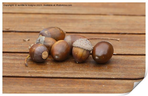 Acorn on a wooden table Print by aurélie le moigne