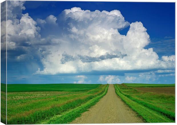 country road with cumulonimbus cloud mass in the background Canvas Print by Dave Reede