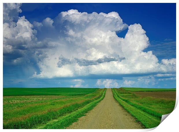 country road with cumulonimbus cloud mass in the background Print by Dave Reede