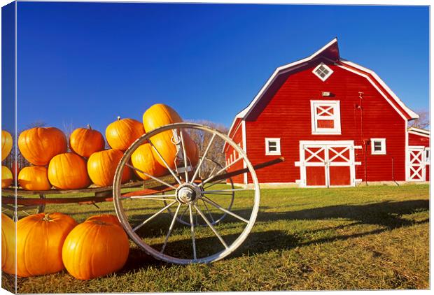 pumpkins in front of red barn Canvas Print by Dave Reede