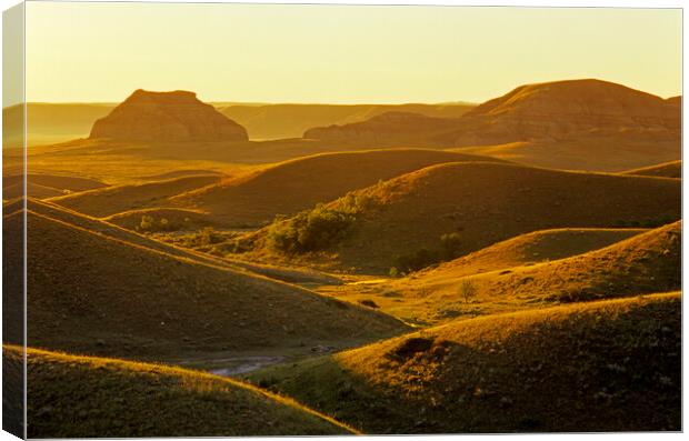 morning light  over the Big Muddy Badlands Canvas Print by Dave Reede